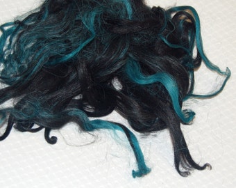 Karakul Wool Locks, Locks for Spinning, Felting Fiber, Doll Hair, Doll Wig, Black Hair, with Hand Dyed shades of Teal Highlights 1 oz.