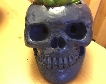 Midnight skull planter