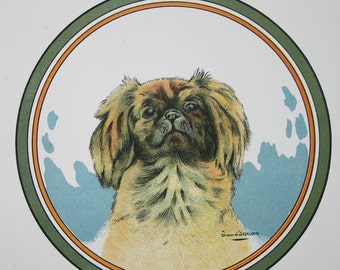 Pekinese Dog Print Vintage French