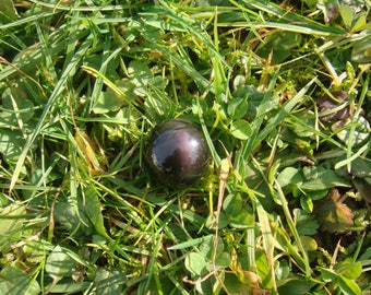 Man Choi (CAB) grade A Obsidian: 20 mm in diameter (C9325)