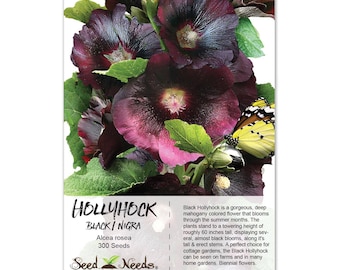 Black Hollyhock Seeds (Alcea rosea) Non-GMO Seeds by Seed Needs