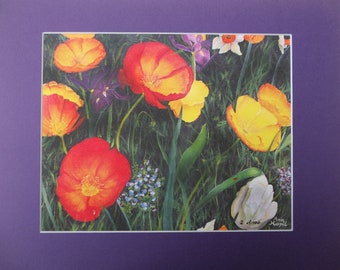 Sunburst Poppies