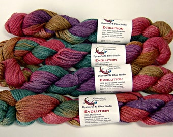 Chameleon Colorworks Evolution Yarn - Figgy Pudding