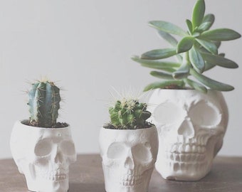 Plaster Skull Planter - Small