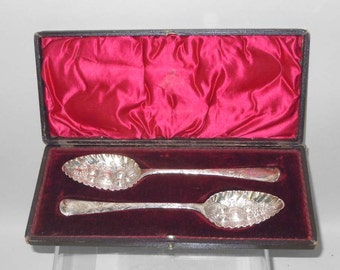 George III 1797 London Silversmith John Blake 1815 Alice George Burrows Berry Fruit Sterling Silver Spoon English