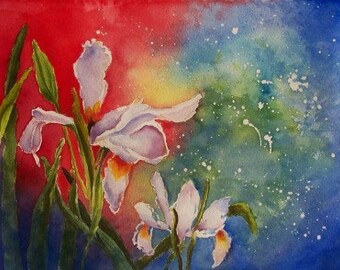 Exploding Iris Abstract Limited edition 11 x 16