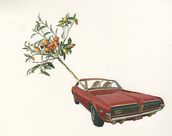 Harold and Maude abscond with an ailing kumquat tree. Limited edition print of an original collage by Vivienne Strauss.