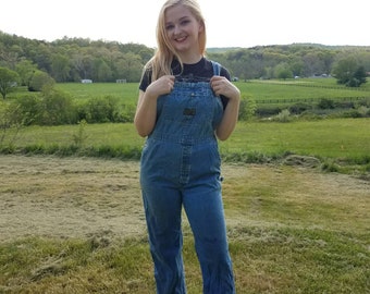 Vintage Destroyed Washington Dee Cee Denim Overalls M