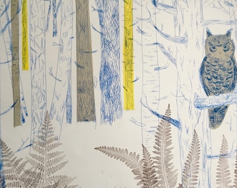 Owl in Birch Woodland - drypoint print