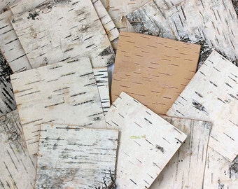 Birch Bark Sheets. Birch Sheets Craft. Birch Pieces. Birch Wood Sheets