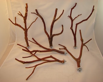 Manzanita Bird Perches Set of SIX Multibranch with Hardware 12" to 13" long 3/4" to 1/4" diameter Bumpy Bark