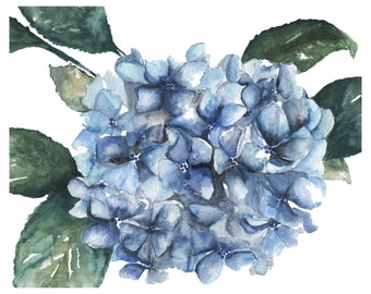 Hydrangea Watercolor Print