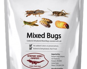 Edible Insects Bagof Mixed Edible Bugs. Grasshoppers, Crickets, Silk Worms and Sago Worms