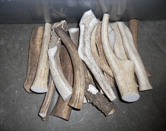 1 POUND of Deer and Elk Antler Dog Chew Toys - Pick Your Size
