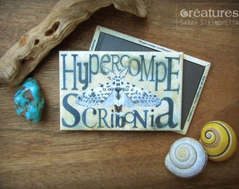 Magnet Hypercompe scribonia Butterfly moth with watercolor
