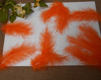 10 feathers - orange d ' about 11cm