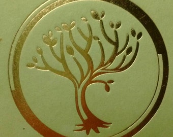 Secret Hollow Book Safe - Insurgent