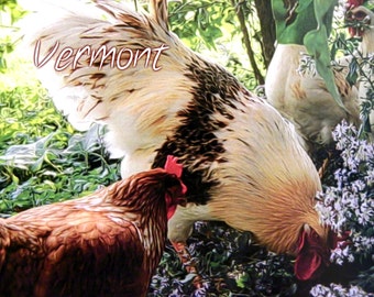 VERMONT Rooster and Hens Postcard - 10 pack
