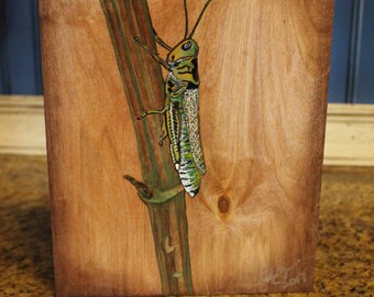 Out of Stock...SALE Green Grasshopper on Wood