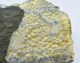 Rare Wavellite Crystals - Ireland - Natural mineral specimen lc523 eb c