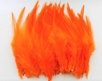 set of 50 feathers orange 10-15cm