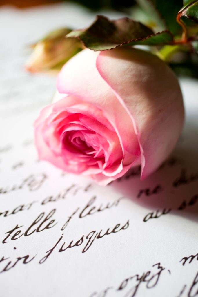 Самое нежное письмо. Романтичные цветы. "Цветы любви". Нежные романтичные цветы. Романтичные цветы для девушки.