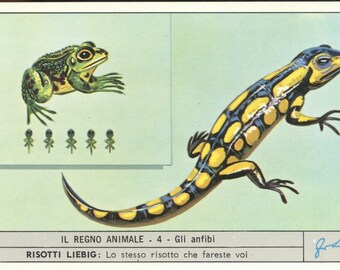 Reptiles Victorian trade from 1950