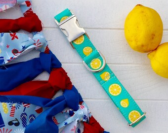Lemons dog collar, teal dog collar, girl dog collar, boy dog collar, summer dog collar, girl dog collars, boy dog collars, dog accessories