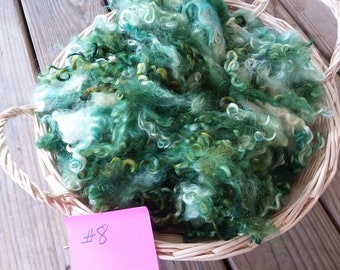 6+ ounces Teeswater Locks