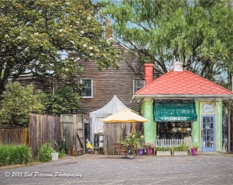 Annapolis Flower Shop Digital Painting