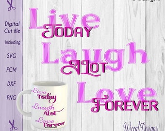 Svg Quote, Inspirational svg, positive quote svg, decor svg, live today svg, fcm files, cricut file, svg sayings, pillow svg, die cut,