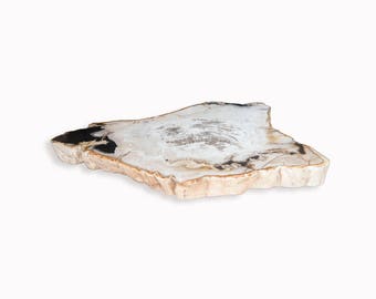 Petrified wood slab with custom made base PF-1104