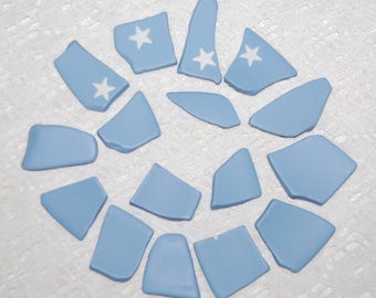 Wedgewood blue plate pieces (16)