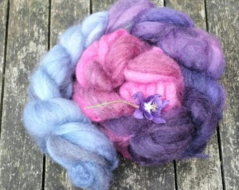 Hand dyed spinning fibre, Ecru and Oatmeal Bluefaced Leicester, 115g, BFL combed tops, gradient dyed spinning fibre