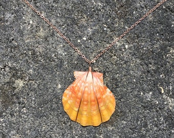 RARE Pink, Orange Hawaiian Sunrise Shell, 14k Rose Gold Filled Chain Necklace