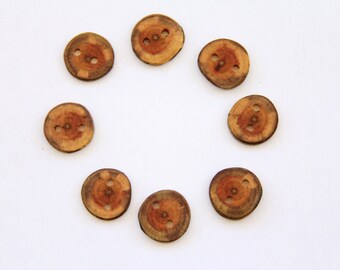8 small buckthorn buttons - 3/4"