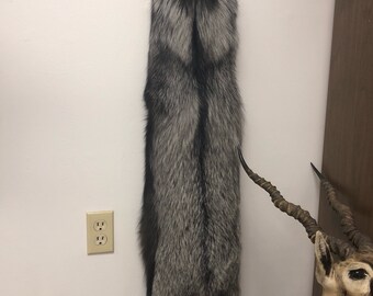 Silver fox