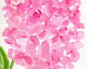 Pink Hydrangea watercolors paintings original, floral watercolor 4 x 6 watercolor painting of pink hydrangea, flower art, hydrangea art