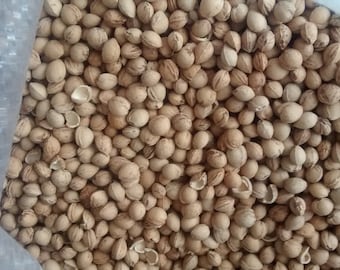 15lb clean dried cherry pits