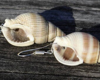 Natural shell earrings, mermaid earrings, surfer girl, beach bum, beachy boho jewellery, beach jewelry, natural chic