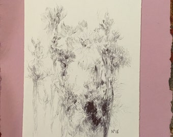Loose Botanical Sketch 2
