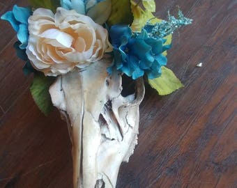 Summer Harvest Deer Skull