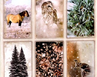 27 - leaf 3d predecoupee wintery and snowy