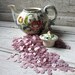 Buttons purple-pink lot of 75