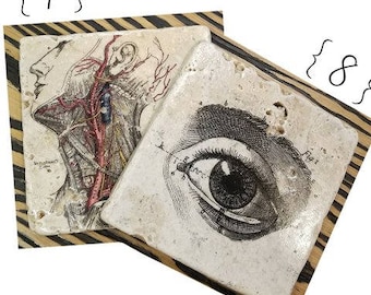 Vintage Anatomy Muscles Coasters, 4 Piece Set, Tumbled Marble (OR MIX & MATCH)