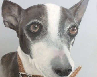 Commission pet portrait