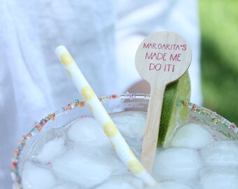 Margarita's Made Me Do it! Drink Stirs
