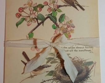 Beautiful Vintage Book Pages- Edith Holden- Country Diary of an Edwardian Lady- Great for use in Junk Journals, Art Journals, Etc.