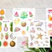 SUMMER BUNDLE - Bullet Journal Stickers - Planner Stickers - Decorative Stickers - Illustrated Stickers
