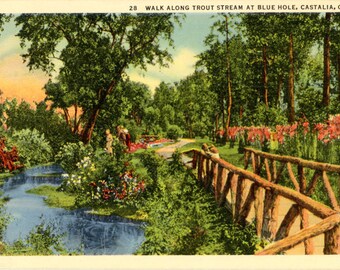Castalia Ohio Walk Along Trout Stream at Blue Hole Vintage Postcard (unused)